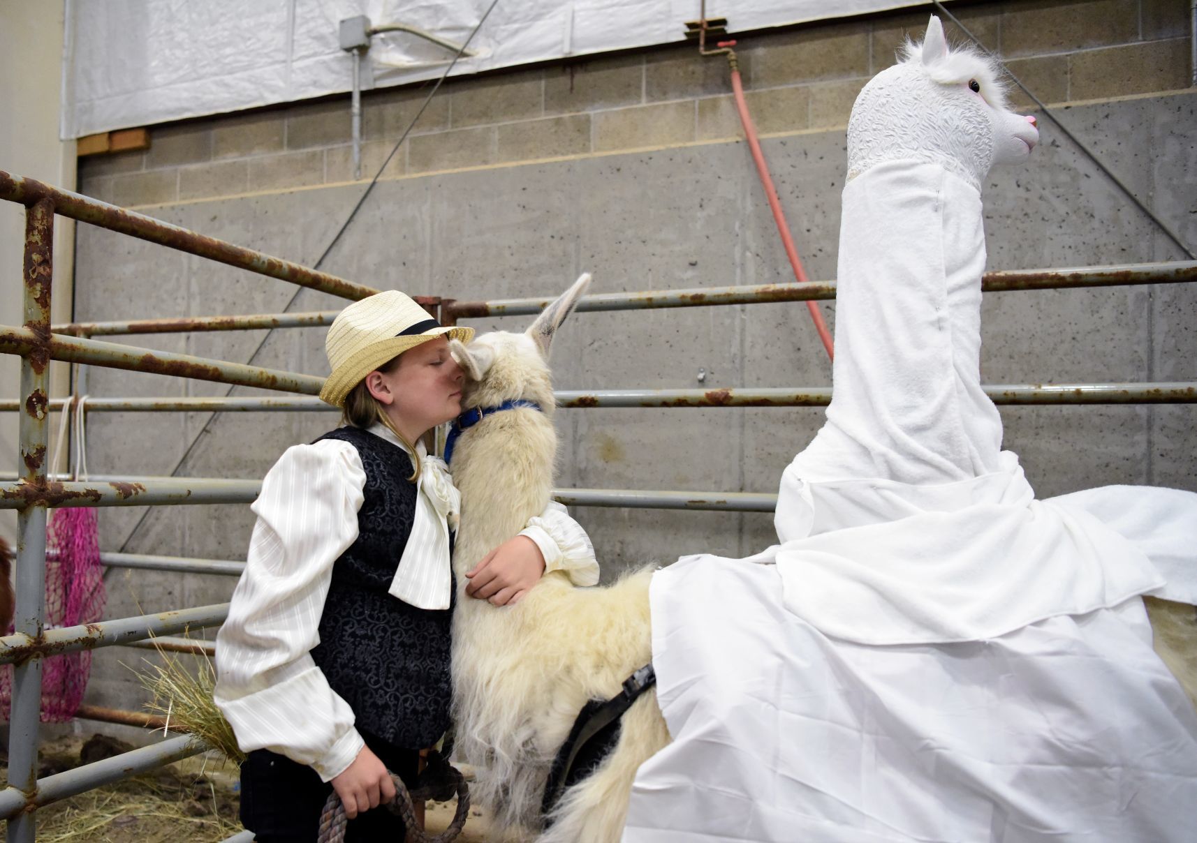 Animal Costume Parade
